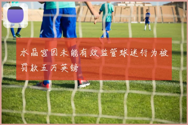 水晶宫因未能有效监管球迷行为被罚款五万英镑
