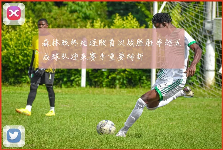 森林狼终结连败首次战胜胜率超五成球队迎来赛季重要转折