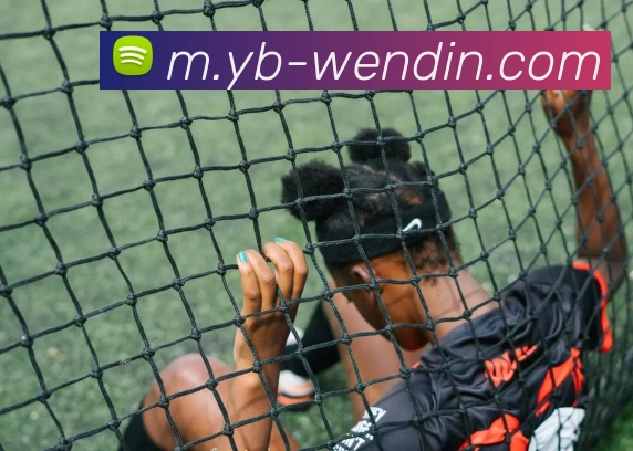 多媒体互动体验